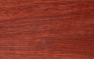 jarrah
