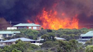 Bushfire